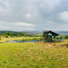 22-09-10 17-50-42 1968